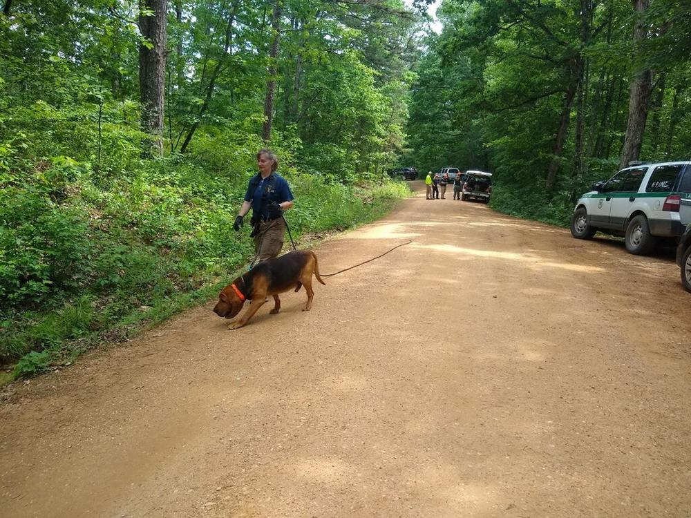 Blood hound being used to track Stacy Lynn Worrall.