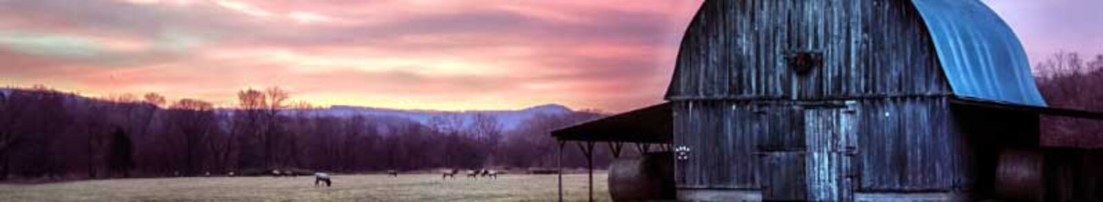 Wooden barn in a field with sunset background